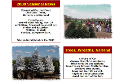 danville christmas tree farm peaches
