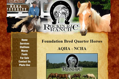 foundation quarter horses palomino aqha ncha